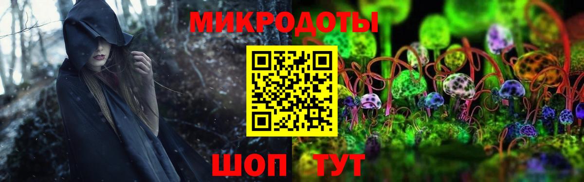 Лесосибирск  Псилоцибиновые грибы Psilocybe  Вход с VPN 
